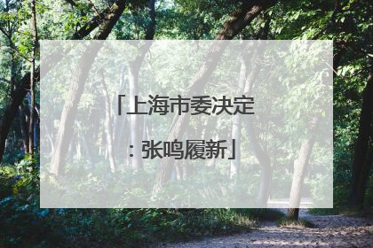 上海市委决定：张鸣履新